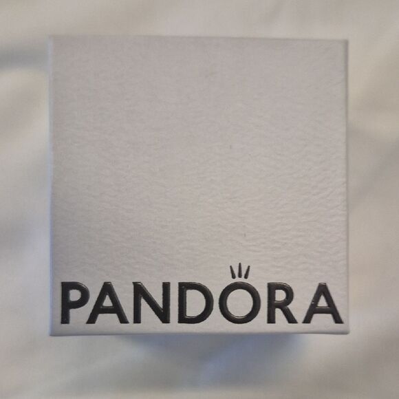 Pandora Journey  Silver Beaded Charm - Picture 2 of 15